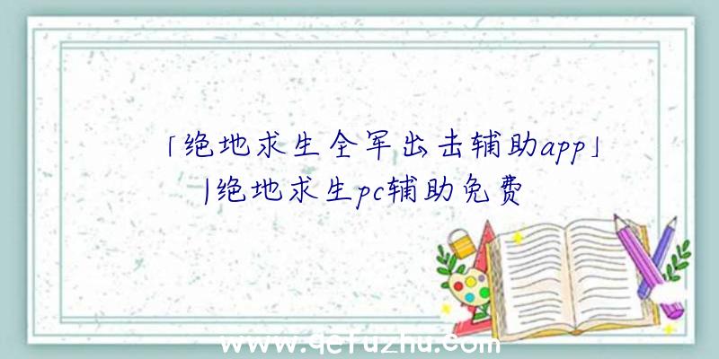 「绝地求生全军出击辅助app」|绝地求生pc辅助免费